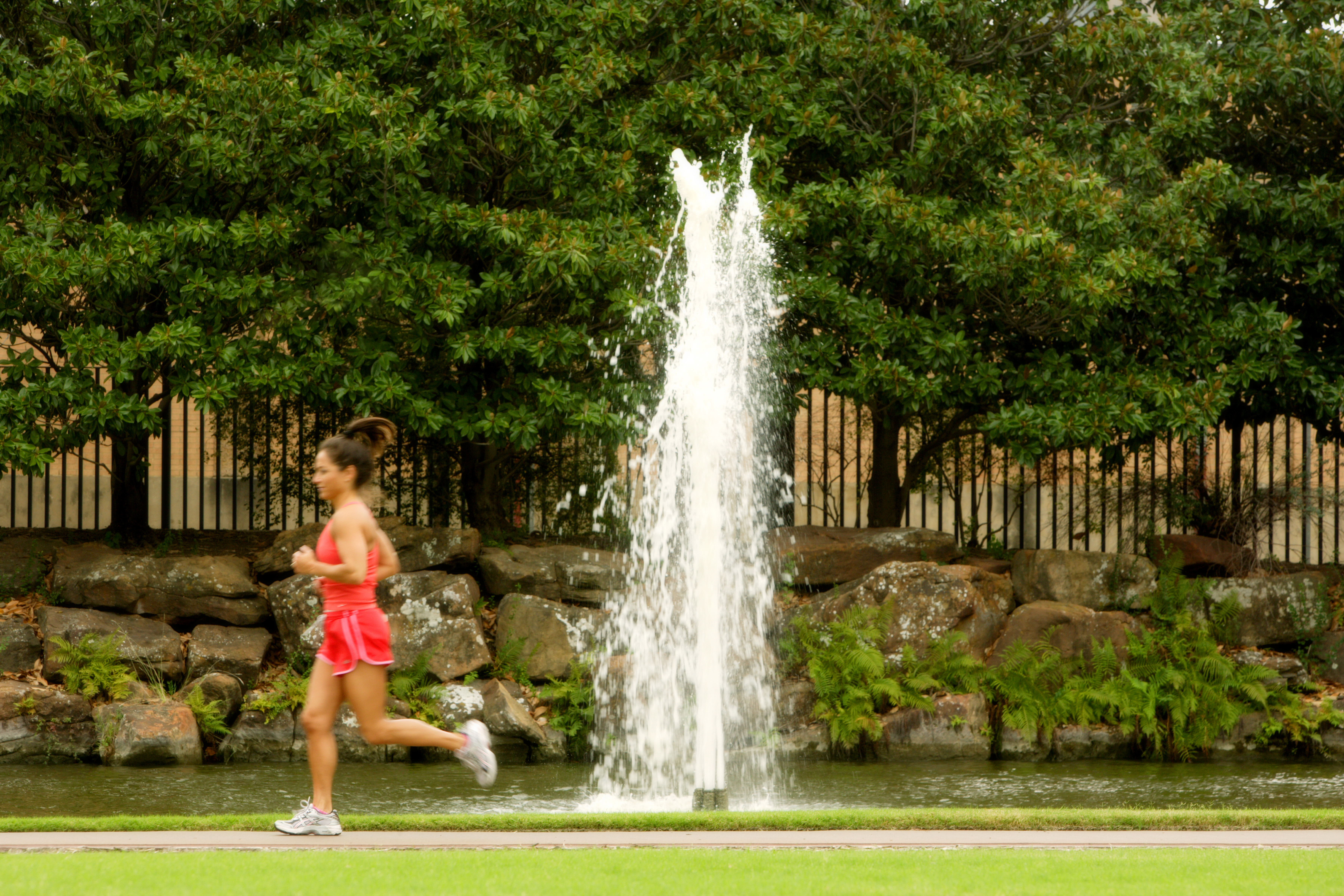 Jogging trails at the park